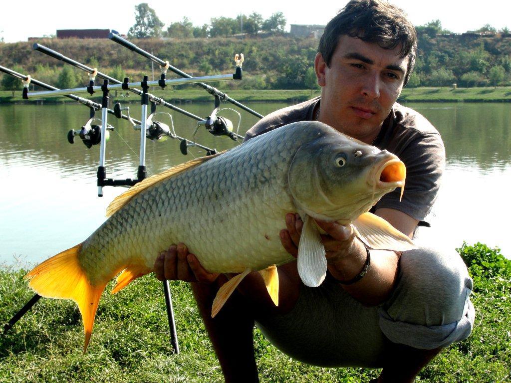 Floarea Popestiului 7 - 7 oct. - DSC07530.jpg